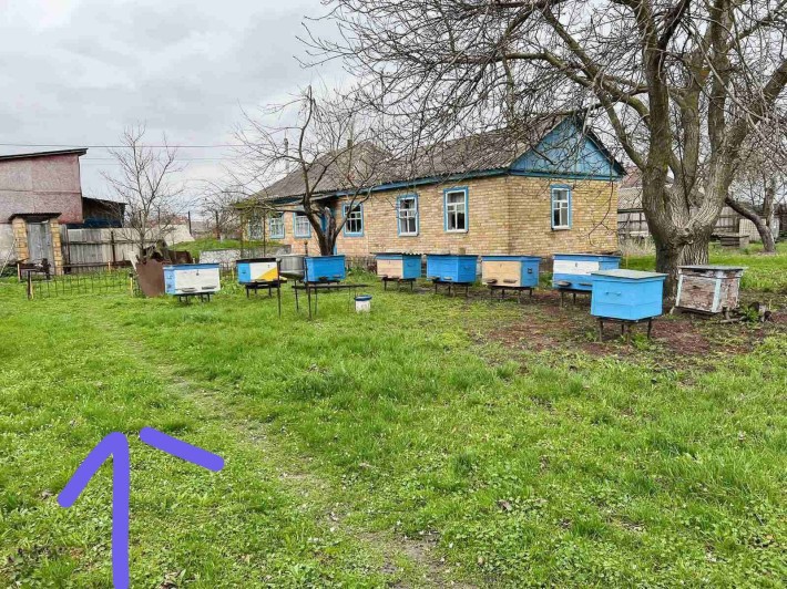 Продам будинок в селі Літки та земельну ділянку 25сот. - фото 1