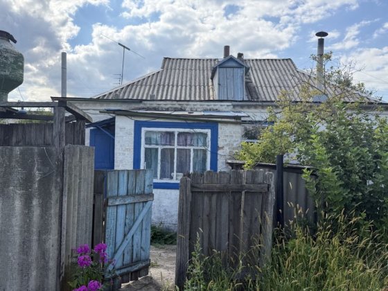 Будинок з комунікаціями,великий двір,сад,поряд рибний канал та ліс Лебедівка