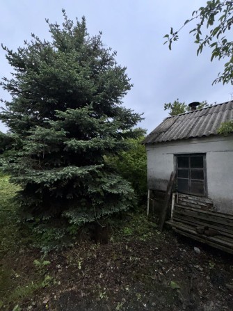 Продаж будинку з великою земельною ділянкою у Музичах - фото 1