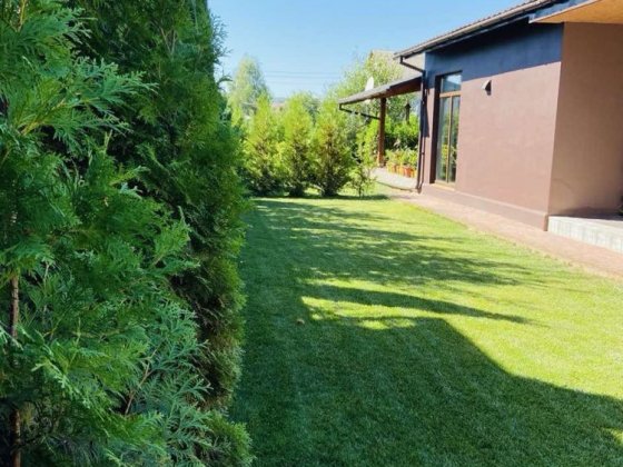 Продаю будинок біля блакитного озера. Нові Безрадичі. Дмитровичі. Нові Безрадичі