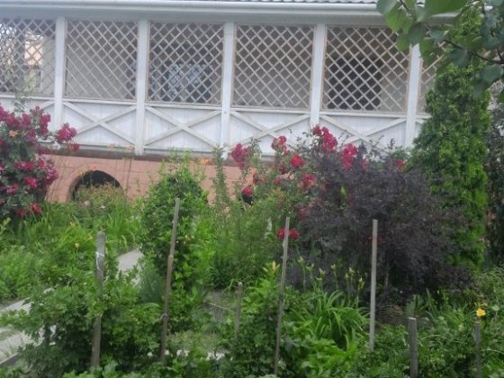 Продам дом в Броварах от хозяина Бровары