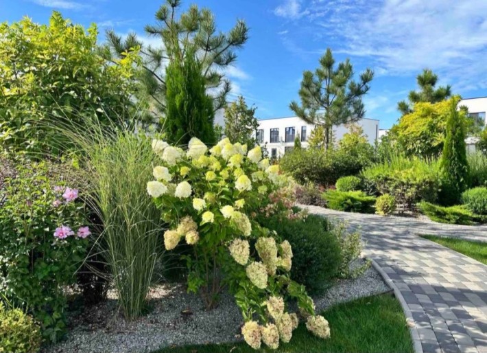 Таунхауз 58м  ГАЗОВЕ опалення ,,Dream House" Бориспіль - фото 1