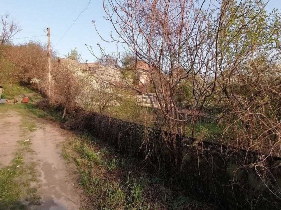 Продаж дачі в межах міста Є Право власності Біла Церква