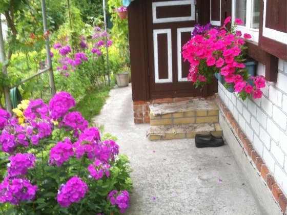 Продам дачу в садовому товаристві Дніпровський залив Кременчук Кременчук