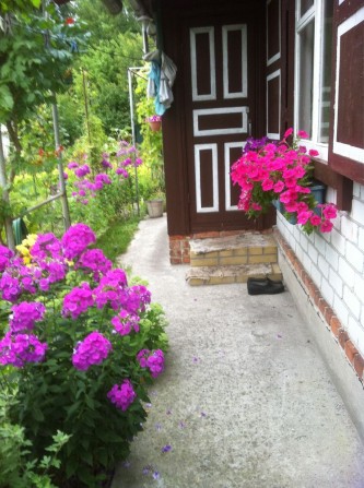 Продам дачу в садовому товаристві Дніпровський залив Кременчук - фото 1