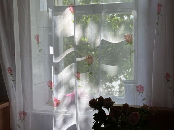 Шукаю дівчину/хлопця на підселення Кам'янець-Подільський