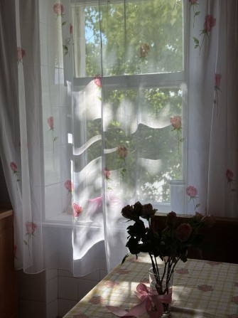 Шукаю дівчину/хлопця на підселення - фото 1