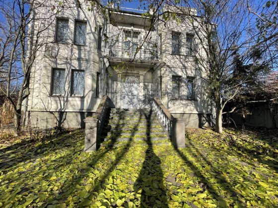 Продаж будинку з підвалом  на 18-сотках , с. Петропавлівське Петропавлівське