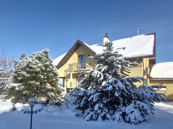 Будинок з гаражем та басейном поруч з Києвом Петрушки