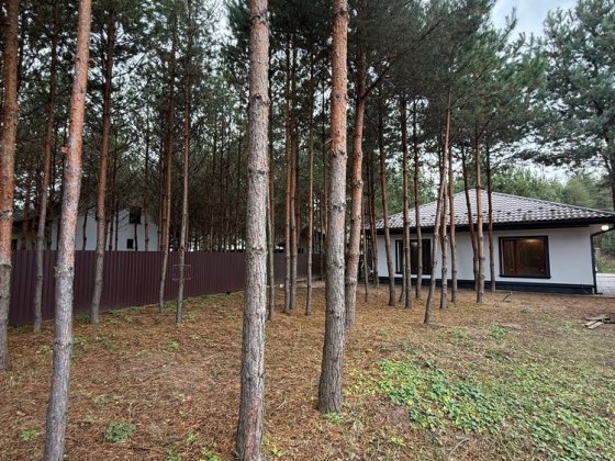 Продам Будинок 100м2, 7 соток, серед Сосен, с.Проців, ЄОселя Проців