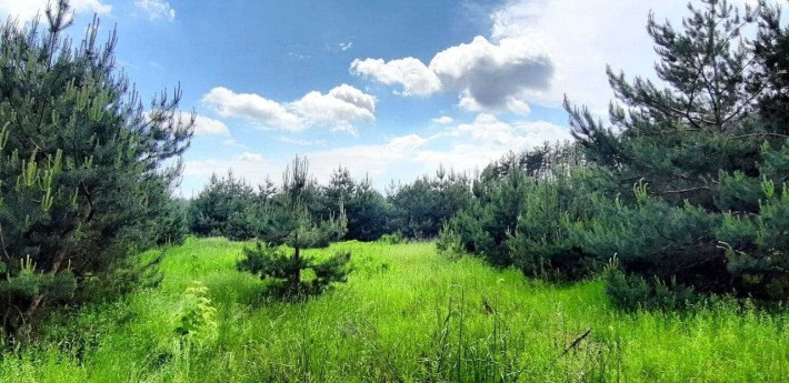 Вілла Шале серед молодих сосен.Вибір готових будинків.2роки розстрочки - фото 1