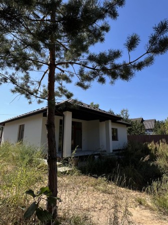 Купуй будинок біля лісу і отримай генератор в подарунок - фото 1