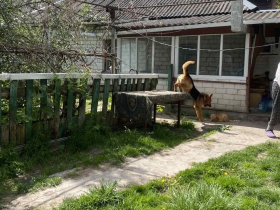 Терміново!!!продам хороший будинок в с.Семиполки,в центрі села. Семиполки