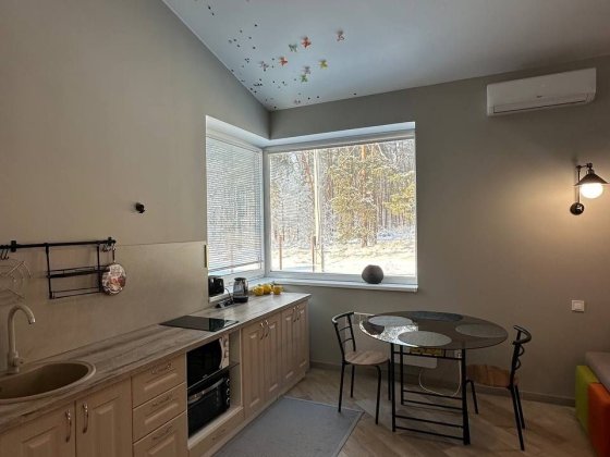 Новий будинок біля лісу на 6-ти сотках землі. Старі Петрівці Старі Петрівці