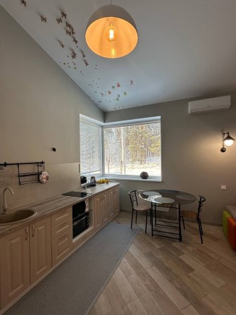 Новий будинок біля лісу на 6-ти сотках землі. Старі Петрівці - фото 1