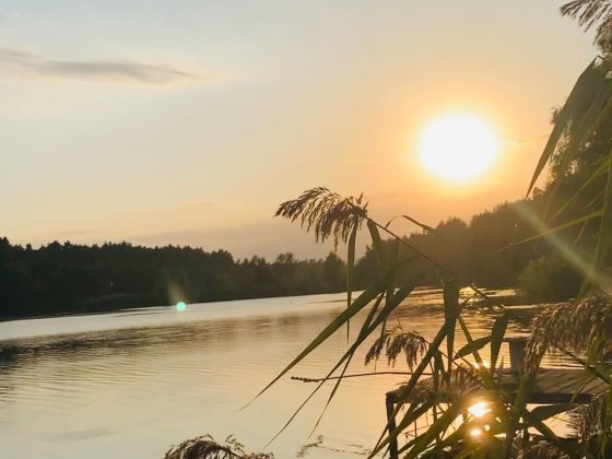 Жила дача біля води та лісу. Поряд річка Стугна, вихід до р. Дніпро. Таценки