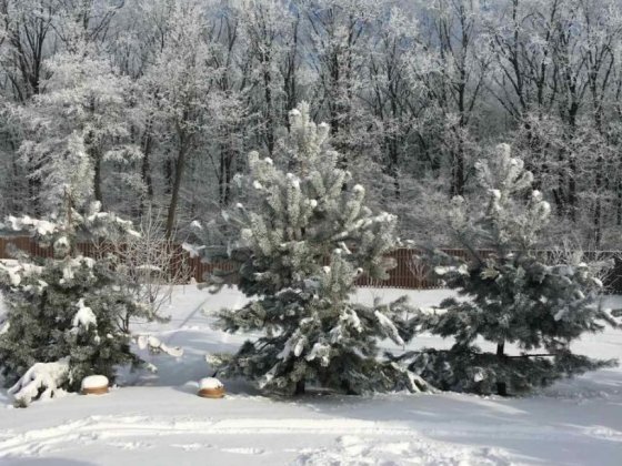 Будинок тиші та затишку с. Шкарівка Біла Церква