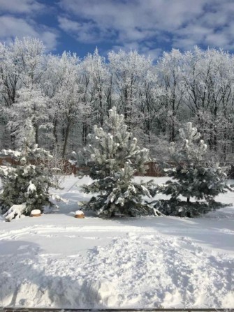 Будинок тиші та затишку с. Шкарівка - фото 1