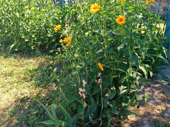 Продам дом на Петровке, в районе квартала 304