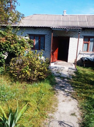 Продаж будинку в с. Дружня з ділянкою 24 сотки - фото 1