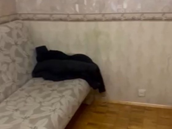 Здається кімната біля метро.Без хозяїв.Газ. Київ