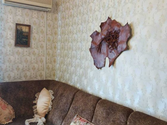 бульвар Украинки, отдельная комната евроремонт центр метро Печерская Киев