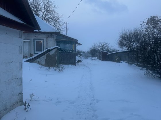 Продам будинок в селі Требухиів Требухов