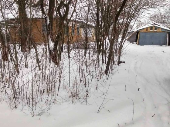 дім та земельна ділянка Ясногородка