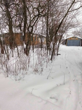 дім та земельна ділянка - фото 1