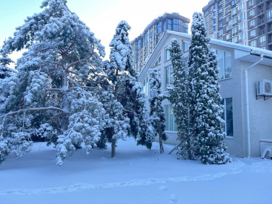 Будинок з ремонтом  на ділянці 18 соток в центральній частині Бучі Буча