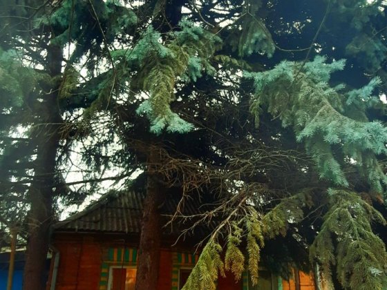 Казковий будиночок ! Кривой Рог