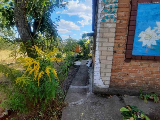 Дача приватизована в центрі міста Мопр Кривой Рог