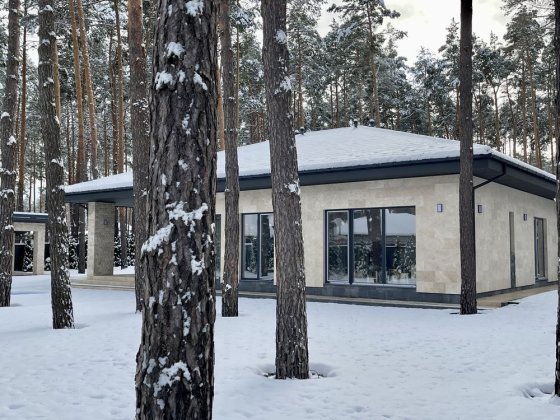 Казковий будинок з басейном  у Бучі на 15 сотках Буча