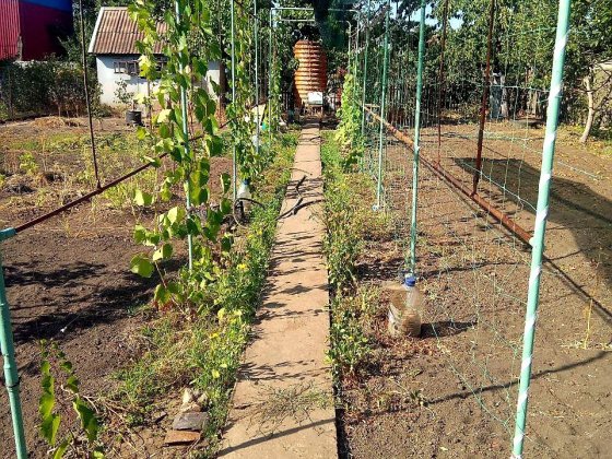 Продам дачу на Шахтопроходке Кривой Рог