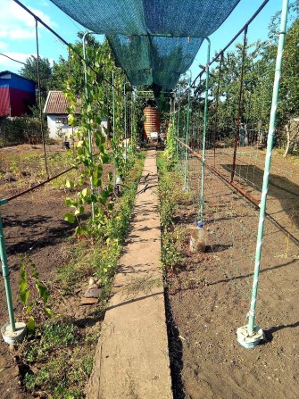 Продам дачу на Шахтопроходке - фото 1