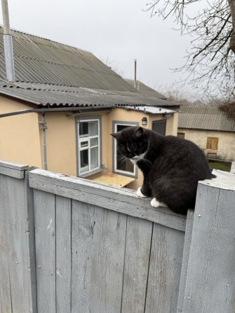 Частина будинку, район 8 школи - фото 1