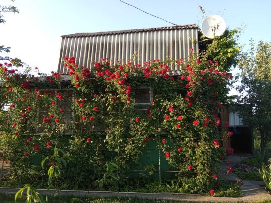 Дача в «Сергіївське-2», Кривий Ріг • 6 соток • Будинок 35 м² Кривой Рог