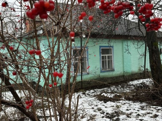 Продам будинок  у Полтаві! Полтава