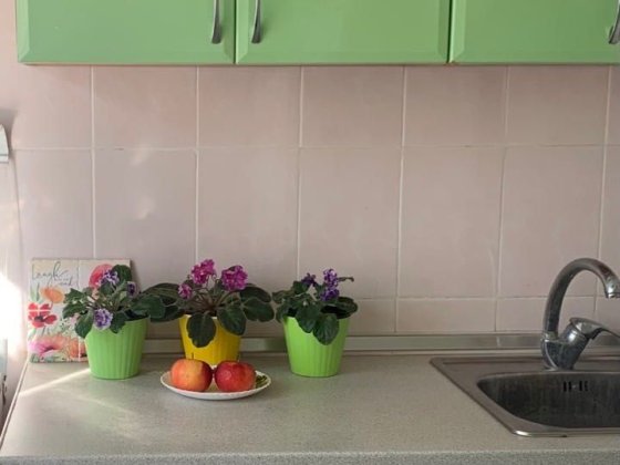 Здам кімнату для жінки Лісовий масив, поруч Сільпо, АТБ, Пчілка Киев