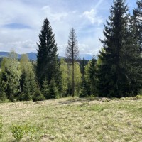 Земельна ділянка в Яблуниці 0.42 га Яремче