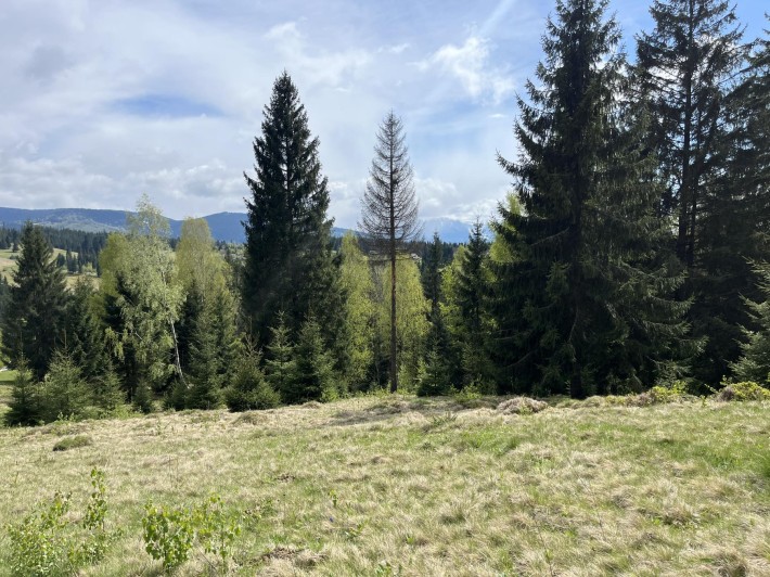 Земельна ділянка в Яблуниці 0.42 га - фото 1