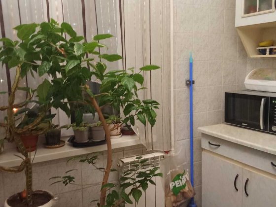 Окрема кімната,1 людину.Позняки.Срібнокільська 8 Киев