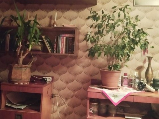 Оренда кімнати в двух кімнатній квартиі, 2/9,буд. на Березняках. Киев