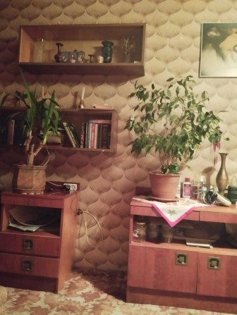 Оренда кімнати в двух кімнатній квартиі, 2/9,буд. на Березняках. - фото 1