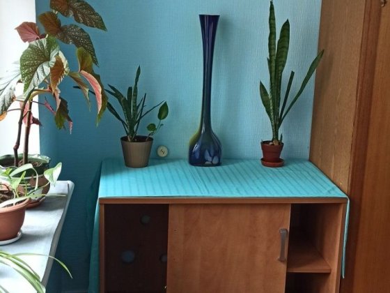 Шулявка,комната в квартире, 2соседа, 1этаж,остановка 2мин, метро10мин Киев