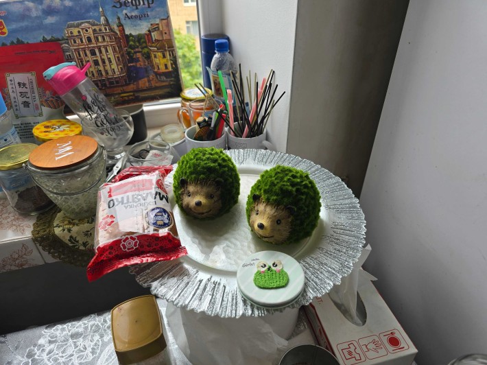 Лукьяновка Джонса Хохловых Шевченковский Богомольца - фото 1