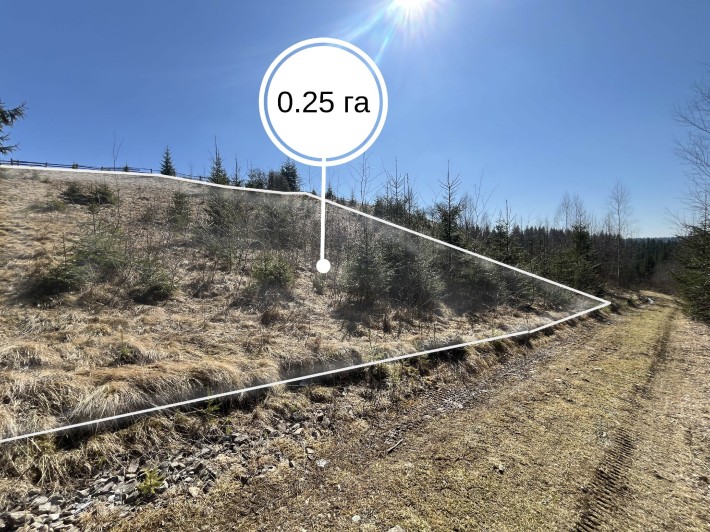 Земельна ділянка в Яблуниці 0.25 га - фото 1