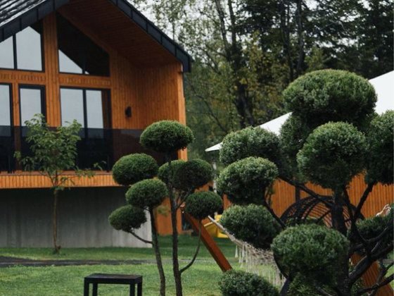 Котедж 52 м 2  Phoenix Medical Resort  готовий бізнес. Східниця