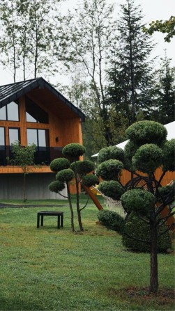 Котедж 52 м 2  Phoenix Medical Resort  готовий бізнес. - фото 1