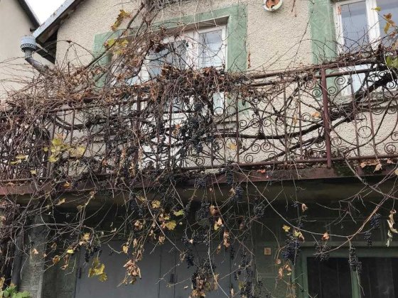 Продаж ділянки та дачного будинка біля комплесу Львівська Швейцарія Давидов